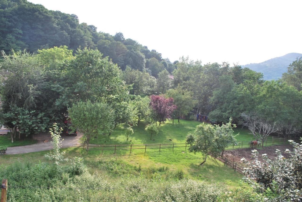 Apartamento Apartamento Rural Lago Ercina Onís Exterior foto